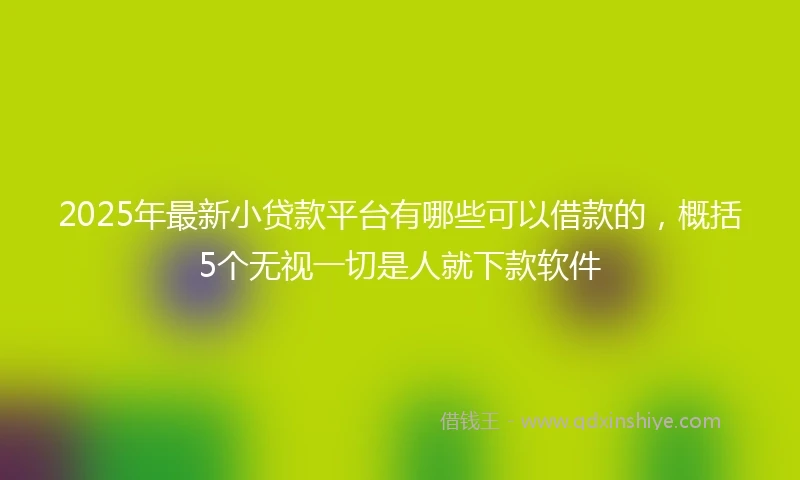 2025年最新小贷款平台有哪些可以借款的，概括5个无视一切是人就下款软件