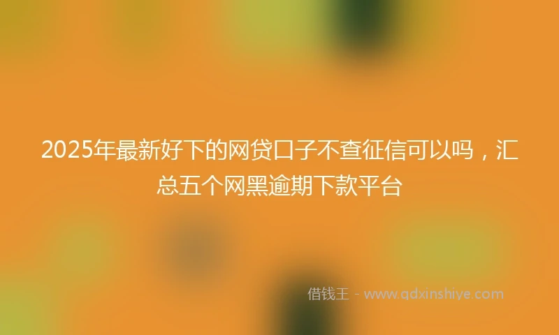 2025年最新好下的网贷口子不查征信可以吗，汇总五个网黑逾期下款平台