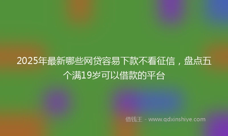 2025年最新哪些网贷容易下款不看征信，盘点五个满19岁可以借款的平台