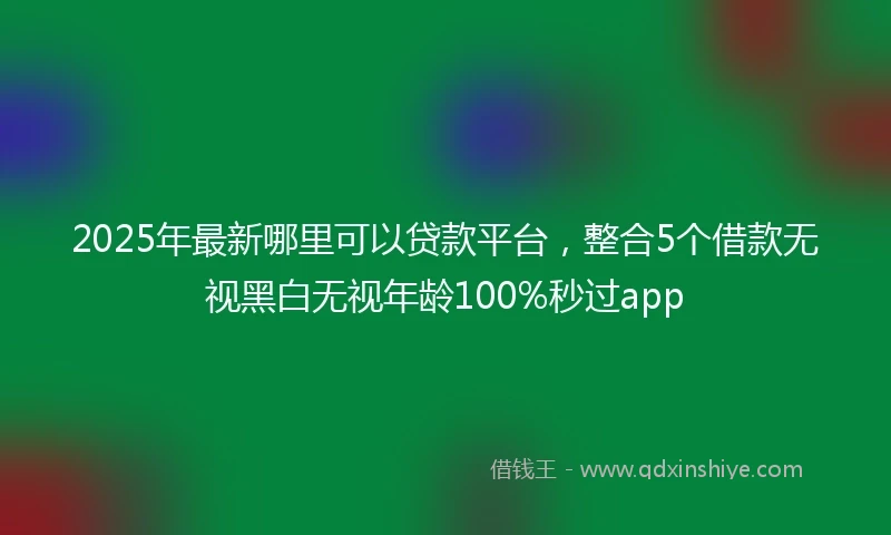 2025年最新哪里可以贷款平台，整合5个借款无视黑白无视年龄100%秒过app