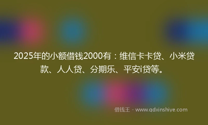 2025年的小额借钱2000有：维信卡卡贷、小米贷款、人人贷、分期乐、平安i贷等。
