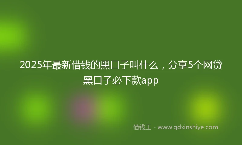 2025年最新借钱的黑口子叫什么，分享5个网贷黑口子必下款app