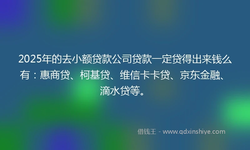 2025年的去小额贷款公司贷款一定贷得出来钱么有：惠商贷、柯基贷、维信卡卡贷、京东金融、滴水贷等。