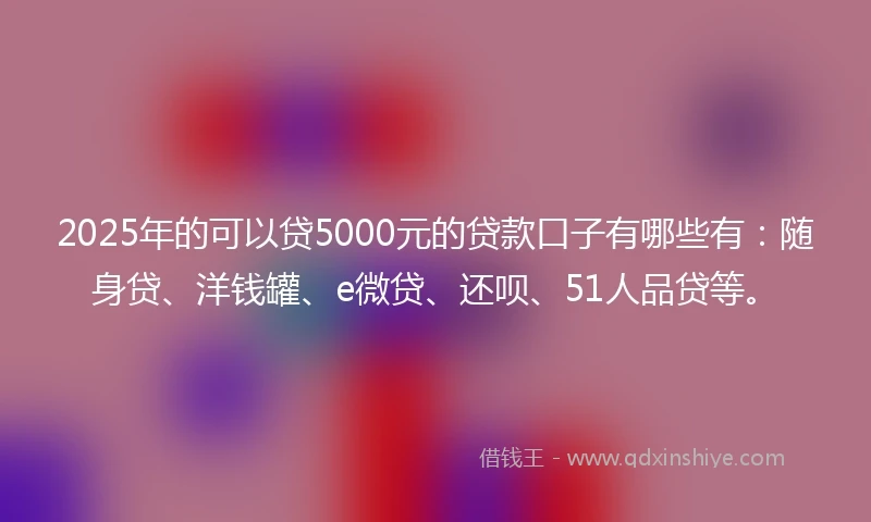 2025年的可以贷5000元的贷款口子有哪些有：随身贷、洋钱罐、e微贷、还呗、51人品贷等。