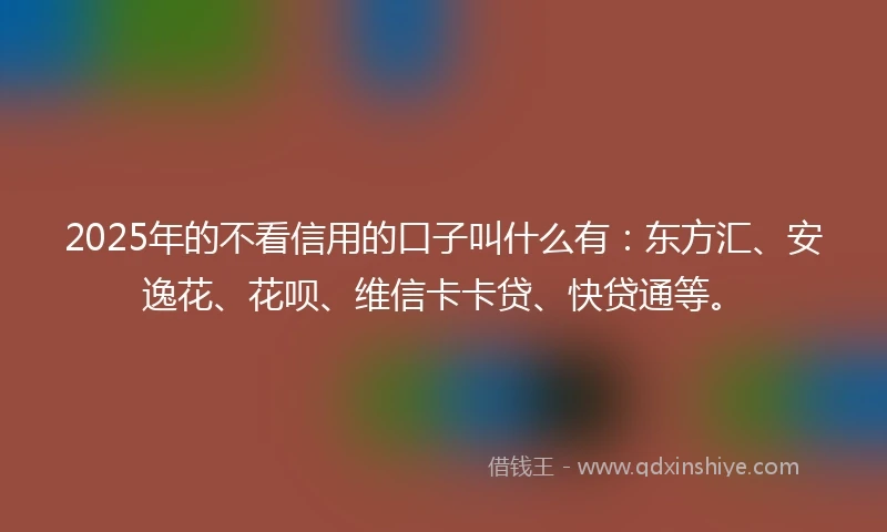 2025年的不看信用的口子叫什么有：东方汇、安逸花、花呗、维信卡卡贷、快贷通等。