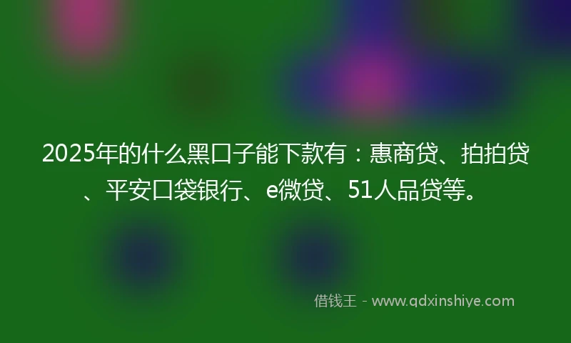 2025年的什么黑口子能下款有：惠商贷、拍拍贷、平安口袋银行、e微贷、51人品贷等。