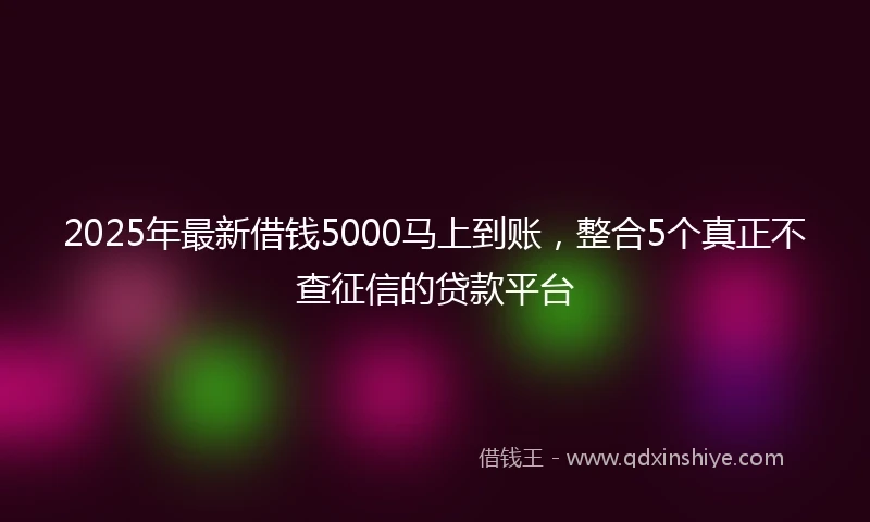 2025年最新借钱5000马上到账，整合5个真正不查征信的贷款平台