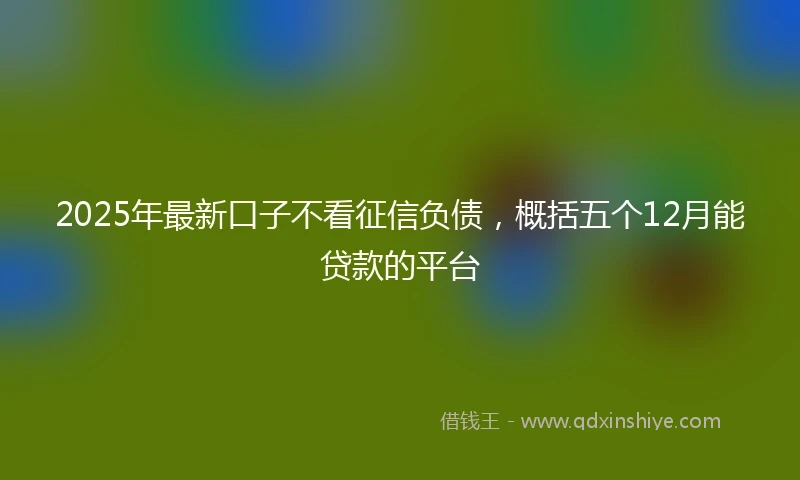 2025年最新口子不看征信负债，概括五个12月能贷款的平台
