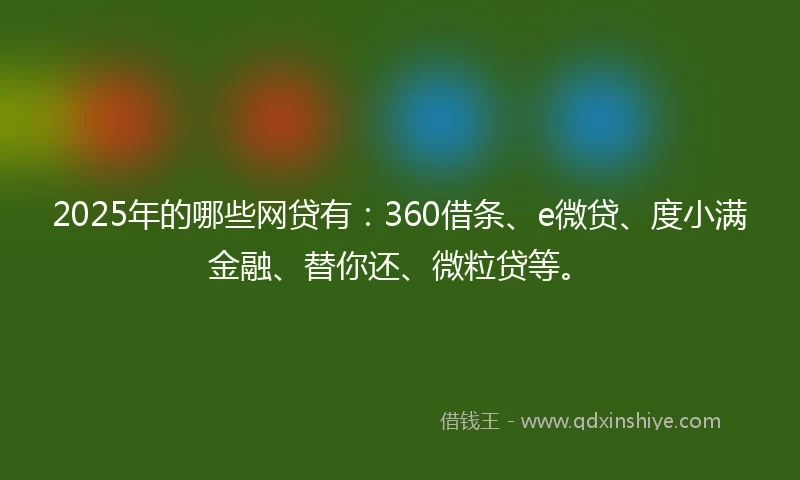 2025年的哪些网贷有：360借条、e微贷、度小满金融、替你还、微粒贷等。