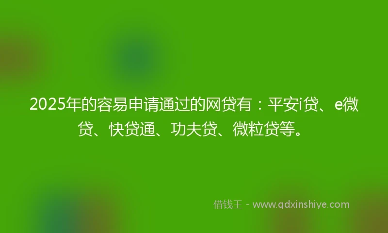 2025年的容易申请通过的网贷有：平安i贷、e微贷、快贷通、功夫贷、微粒贷等。