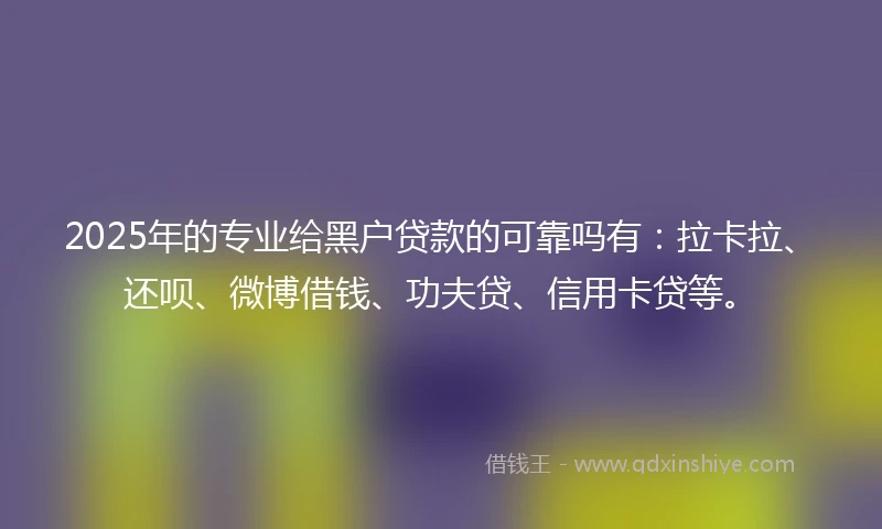 2025年的专业给黑户贷款的可靠吗有：拉卡拉、还呗、微博借钱、功夫贷、信用卡贷等。