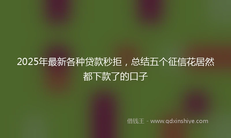 2025年最新各种贷款秒拒，总结五个征信花居然都下款了的口子