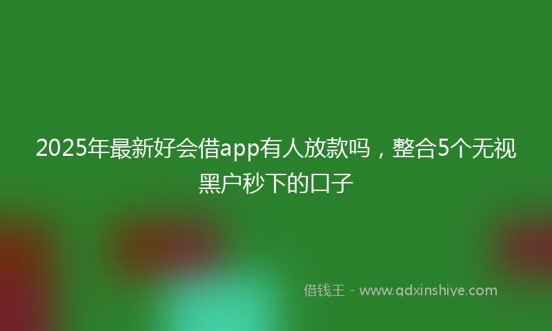 2025年最新好会借app有人放款吗,整合5个无视黑户秒下的口子