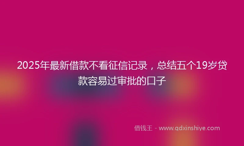2025年最新借款不看征信记录，总结五个19岁贷款容易过审批的口子