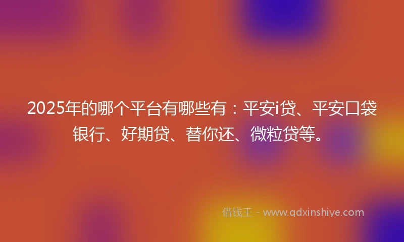 2025年的哪个平台有哪些有：平安i贷、平安口袋银行、好期贷、替你还、微粒贷等。