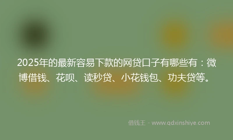 2025年的最新容易下款的网贷口子有哪些有：微博借钱、花呗、读秒贷、小花钱包、功夫贷等。