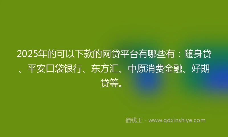 2025年的可以下款的网贷平台有哪些有：随身贷、平安口袋银行、东方汇、中原消费金融、好期贷等。