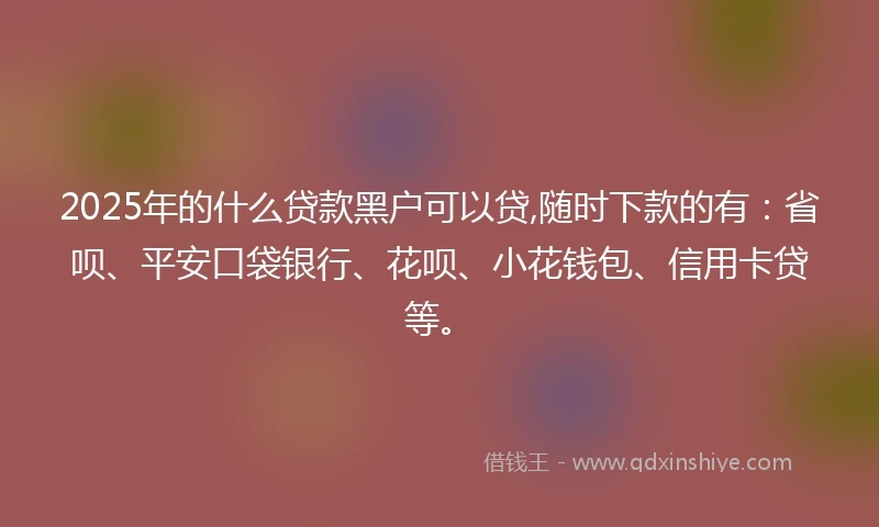 2025年的什么贷款黑户可以贷,随时下款的有：省呗、平安口袋银行、花呗、小花钱包、信用卡贷等。