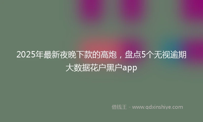 2025年最新夜晚下款的高炮,盘点5个无视逾期大数据花户黑户app