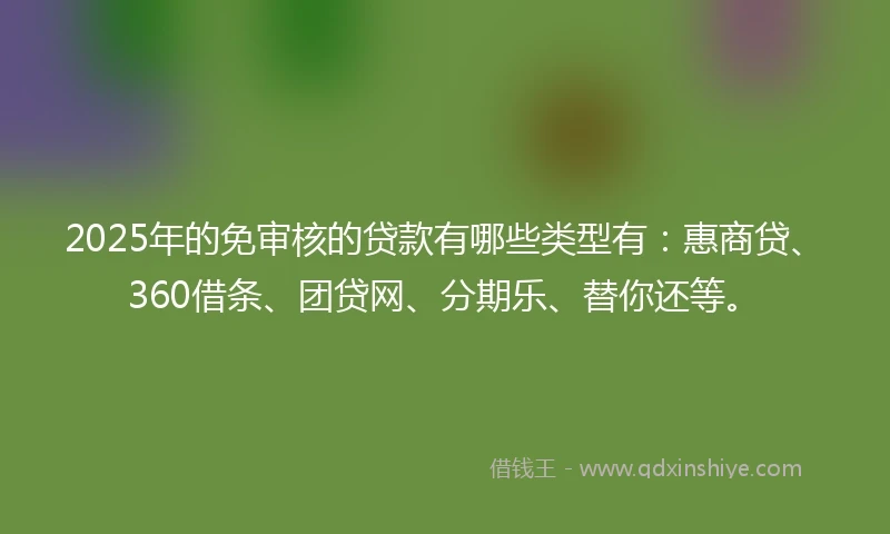 2025年的免审核的贷款有哪些类型有：惠商贷、360借条、团贷网、分期乐、替你还等。