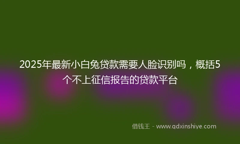 2025年最新小白兔贷款需要人脸识别吗，概括5个不上征信报告的贷款平台