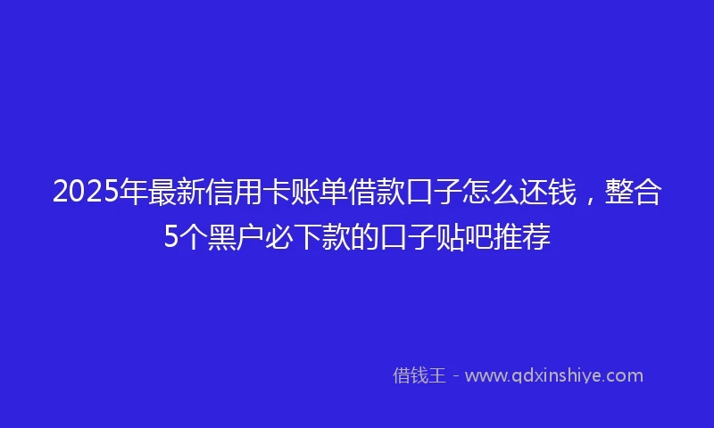 2025年最新信用卡账单借款口子怎么还钱，整合5个黑户必下款的口子贴吧推荐