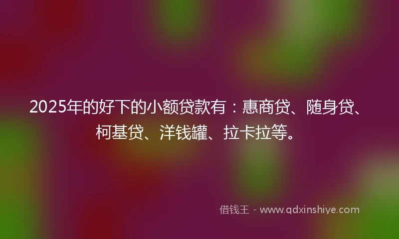 2025年的好下的小额贷款有：惠商贷、随身贷、柯基贷、洋钱罐、拉卡拉等。
