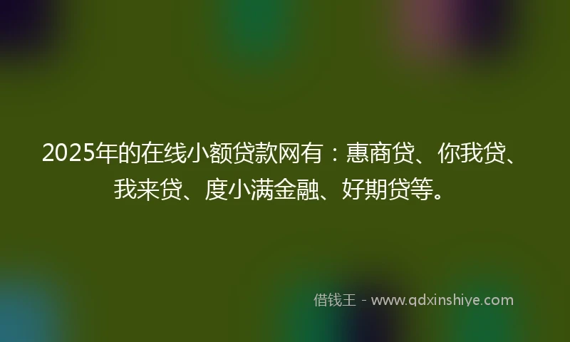 2025年的在线小额贷款网有：惠商贷、你我贷、我来贷、度小满金融、好期贷等。