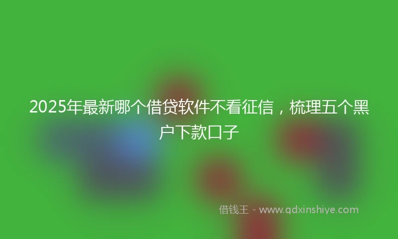 2025年最新哪个借贷软件不看征信，梳理五个黑户下款口子