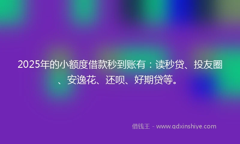 2025年的小额度借款秒到账有：读秒贷、投友圈、安逸花、还呗、好期贷等。