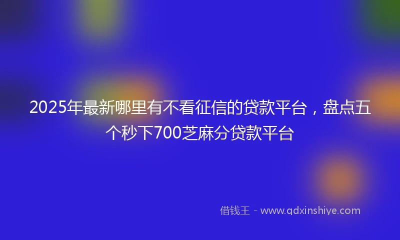 2025年最新哪里有不看征信的贷款平台，盘点五个秒下700芝麻分贷款平台