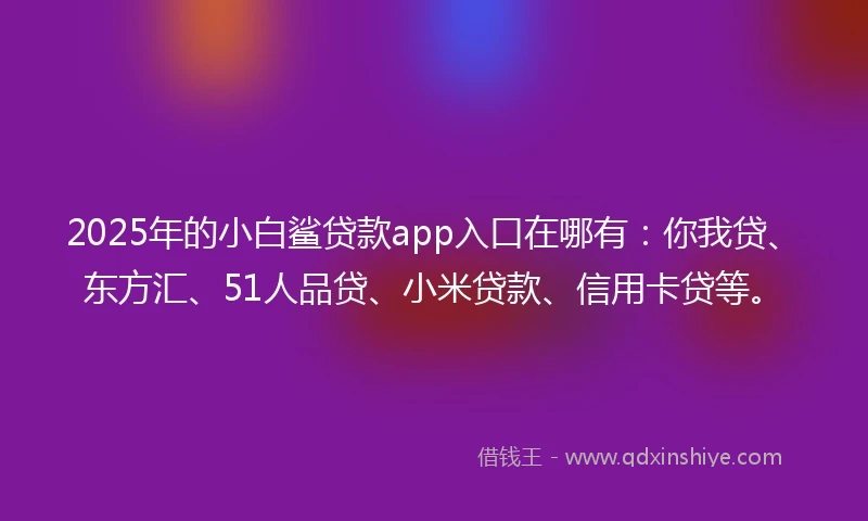 2025年的小白鲨贷款app入口在哪有：你我贷、东方汇、51人品贷、小米贷款、信用卡贷等。