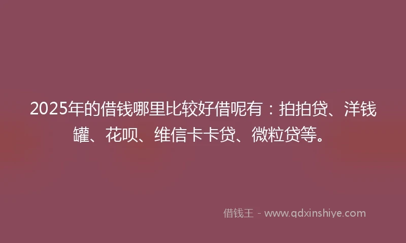 2025年的借钱哪里比较好借呢有：拍拍贷、洋钱罐、花呗、维信卡卡贷、微粒贷等。