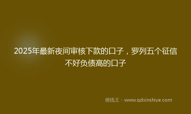 2025年最新夜间审核下款的口子，罗列五个征信不好负债高的口子