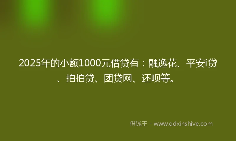 2025年的小额1000元借贷有：融逸花、平安i贷、拍拍贷、团贷网、还呗等。