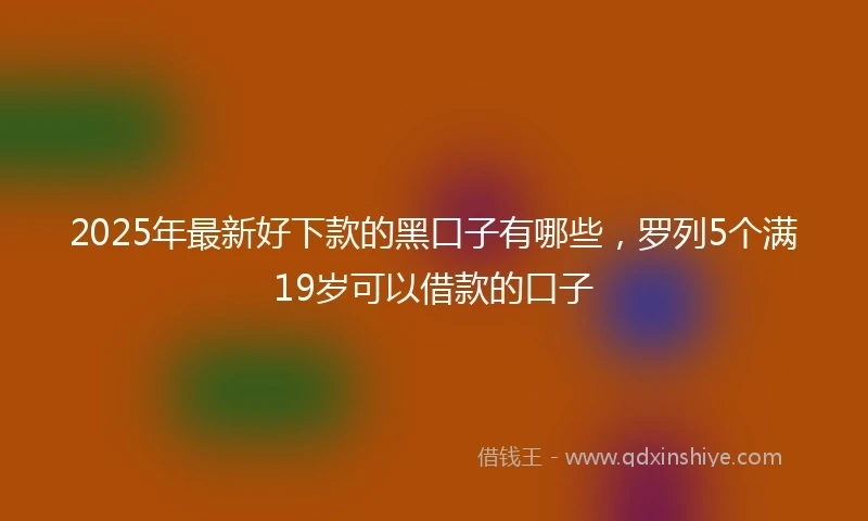 2025年最新好下款的黑口子有哪些，罗列5个满19岁可以借款的口子
