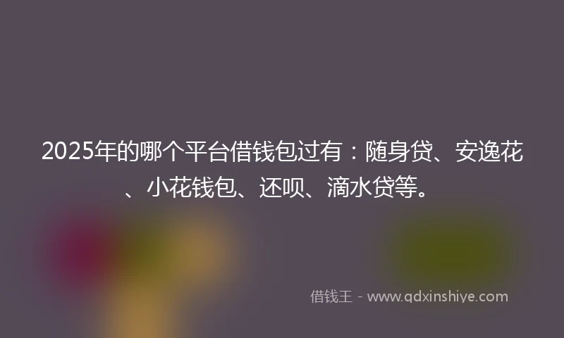 2025年的哪个平台借钱包过有：随身贷、安逸花、小花钱包、还呗、滴水贷等。