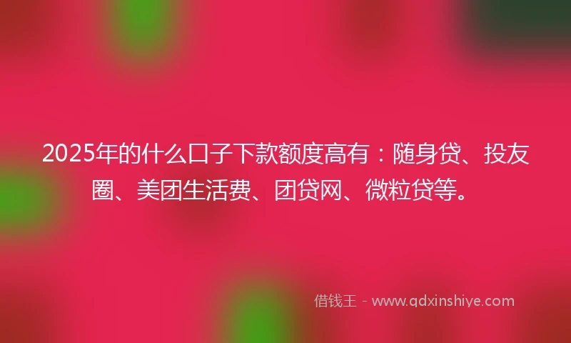 2025年的什么口子下款额度高有：随身贷、投友圈、美团生活费、团贷网、微粒贷等。