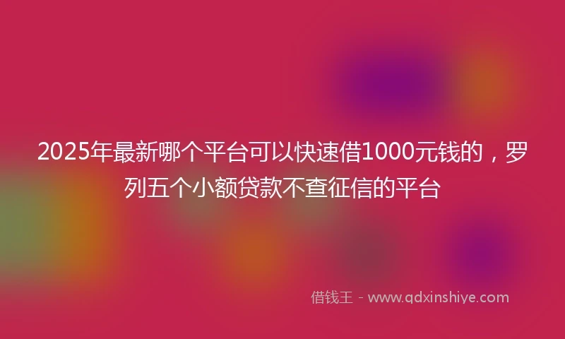 2025年最新哪个平台可以快速借1000元钱的，罗列五个小额贷款不查征信的平台