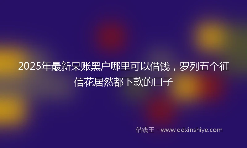 2025年最新呆账黑户哪里可以借钱，罗列五个征信花居然都下款的口子