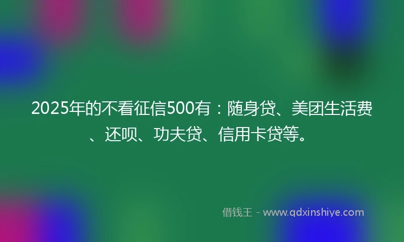 2025年的不看征信500有：随身贷、美团生活费、还呗、功夫贷、信用卡贷等。