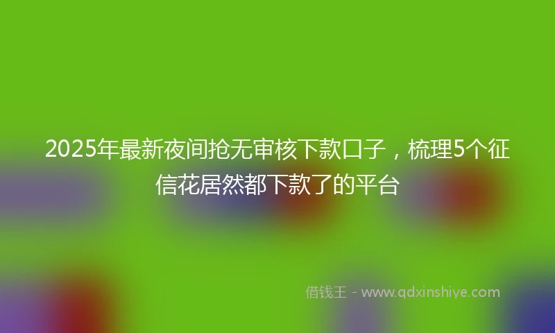 2025年最新夜间抢无审核下款口子，梳理5个征信花居然都下款了的平台