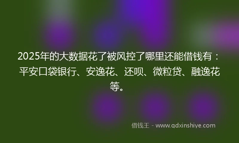 2025年的大数据花了被风控了哪里还能借钱有:平安口袋银行、安逸花、还呗、微粒贷、融逸花等。