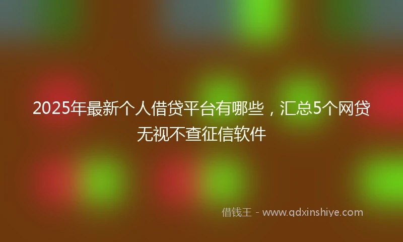 2025年最新个人借贷平台有哪些，汇总5个网贷无视不查征信软件