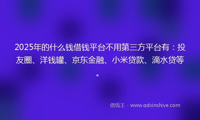 2025年的什么钱借钱平台不用第三方平台有：投友圈、洋钱罐、京东金融、小米贷款、滴水贷等。