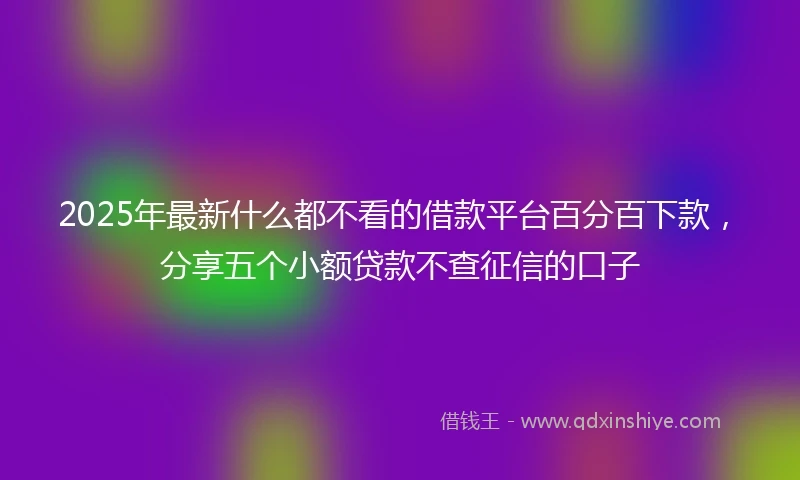 2025年最新什么都不看的借款平台百分百下款，分享五个小额贷款不查征信的口子