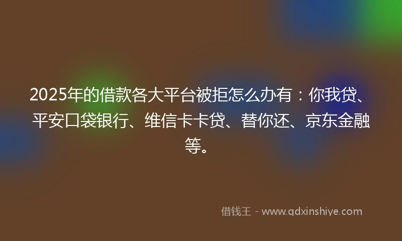 2025年的借款各大平台被拒怎么办有：你我贷、平安口袋银行、维信卡卡贷、替你还、京东金融等。