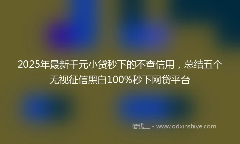 2025年最新千元小贷秒下的不查信用，总结五个无视征信黑白100%秒下网贷平台