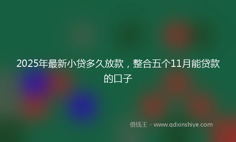 2025年最新小贷多久放款，整合五个11月能贷款的口子