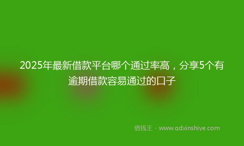 2025年最新借款平台哪个通过率高，分享5个有逾期借款容易通过的口子